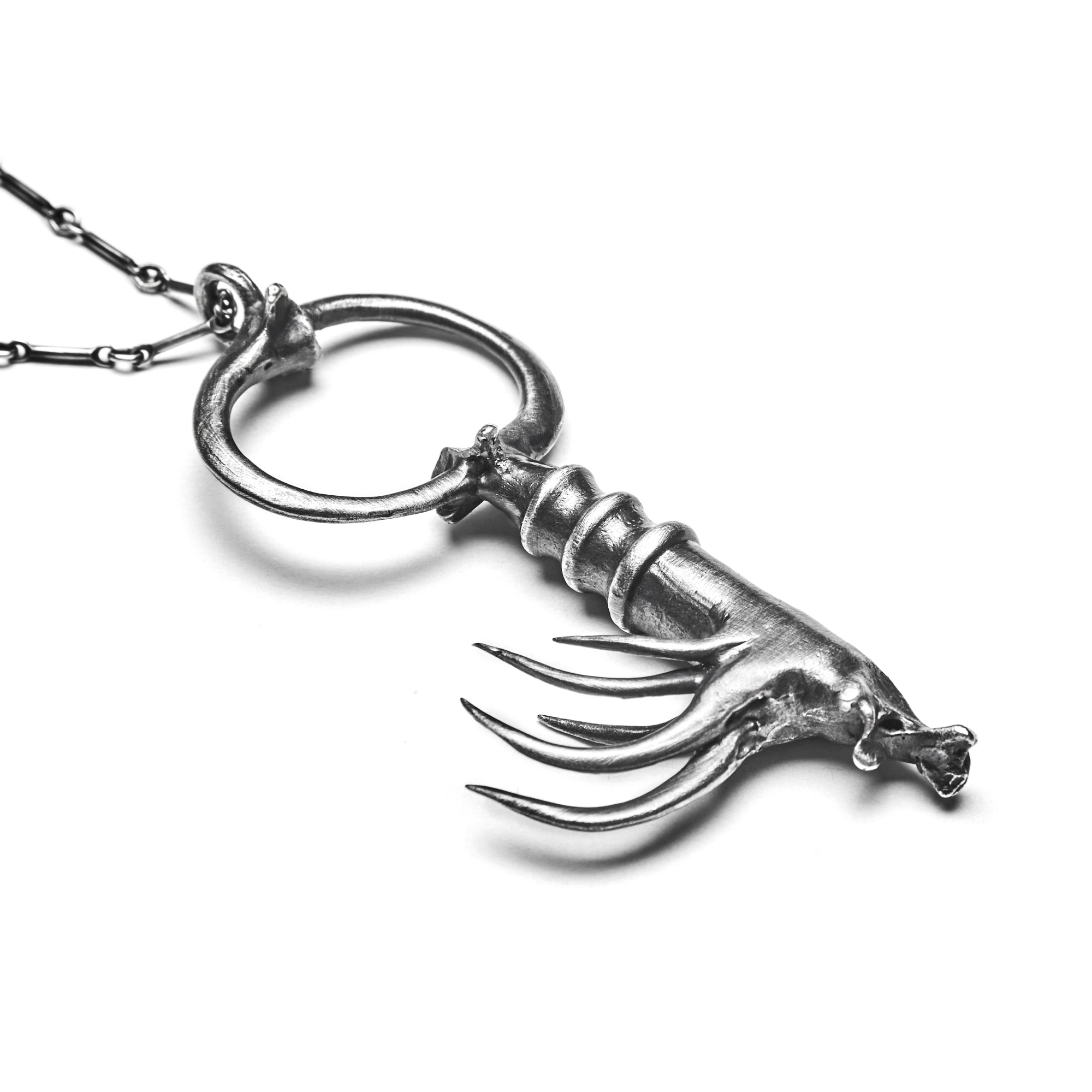 The Poison Key Necklace.