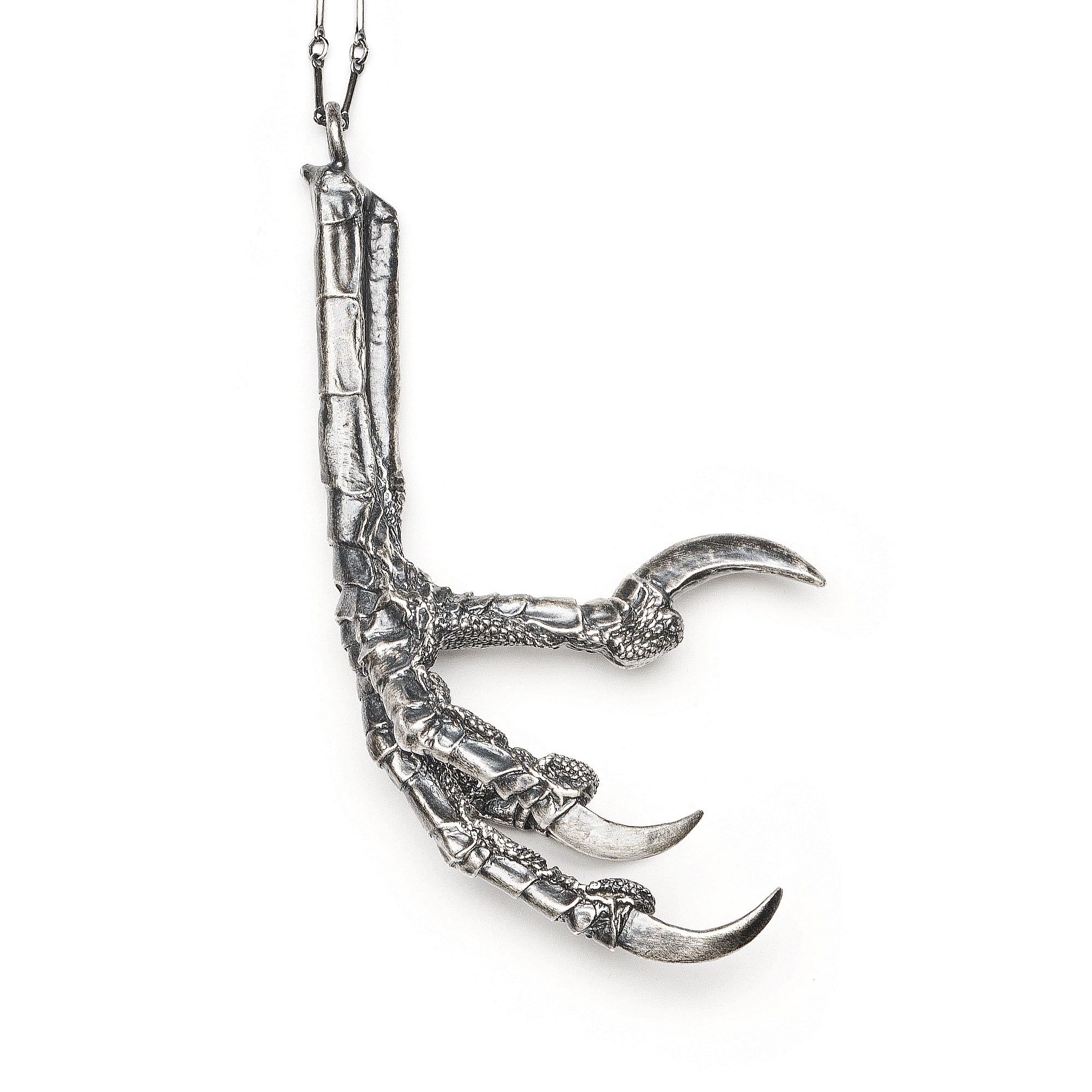 The Shape-shifter. Raven Claw.