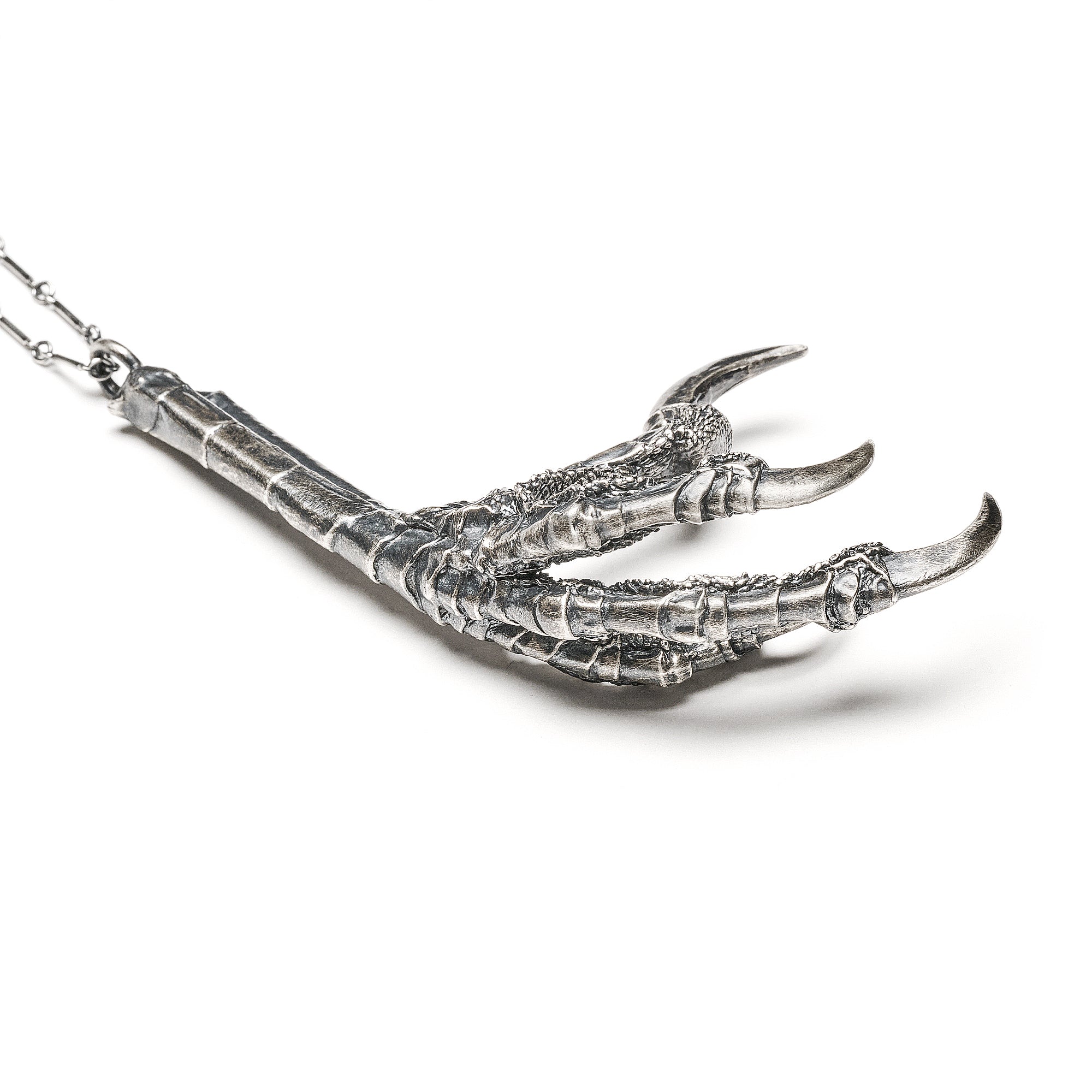 The Shape-shifter. Raven Claw.