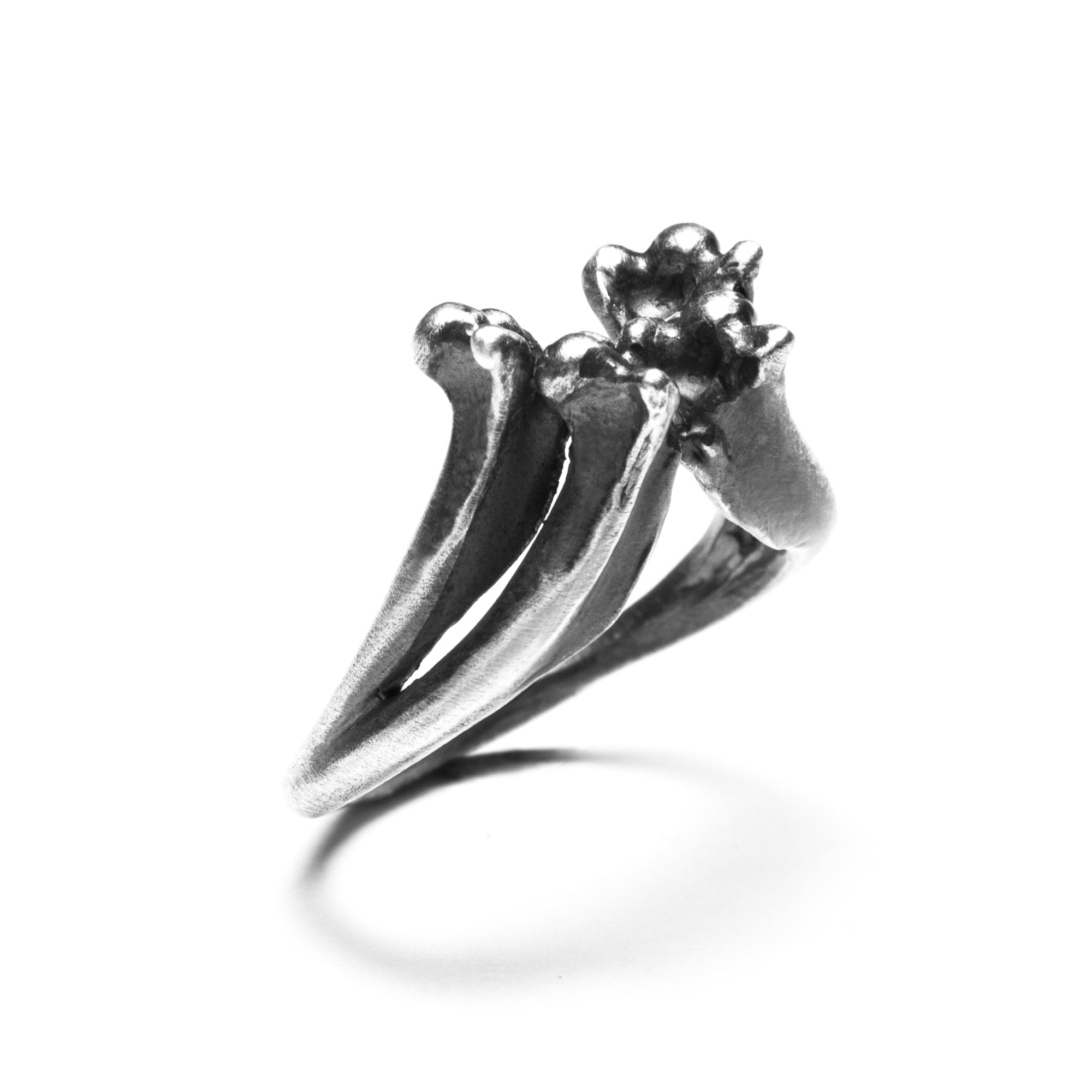 Erebus Ring