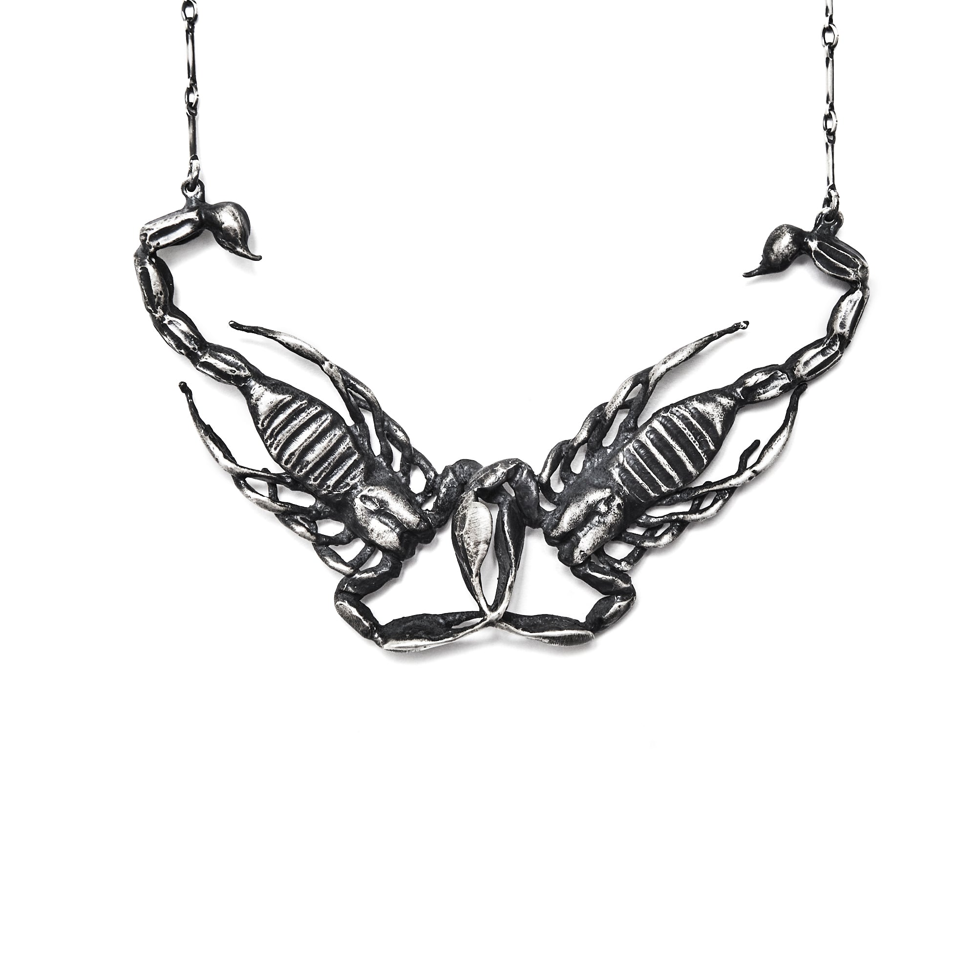 The Poison & The Cure { Medium Conjoined Scorpions }