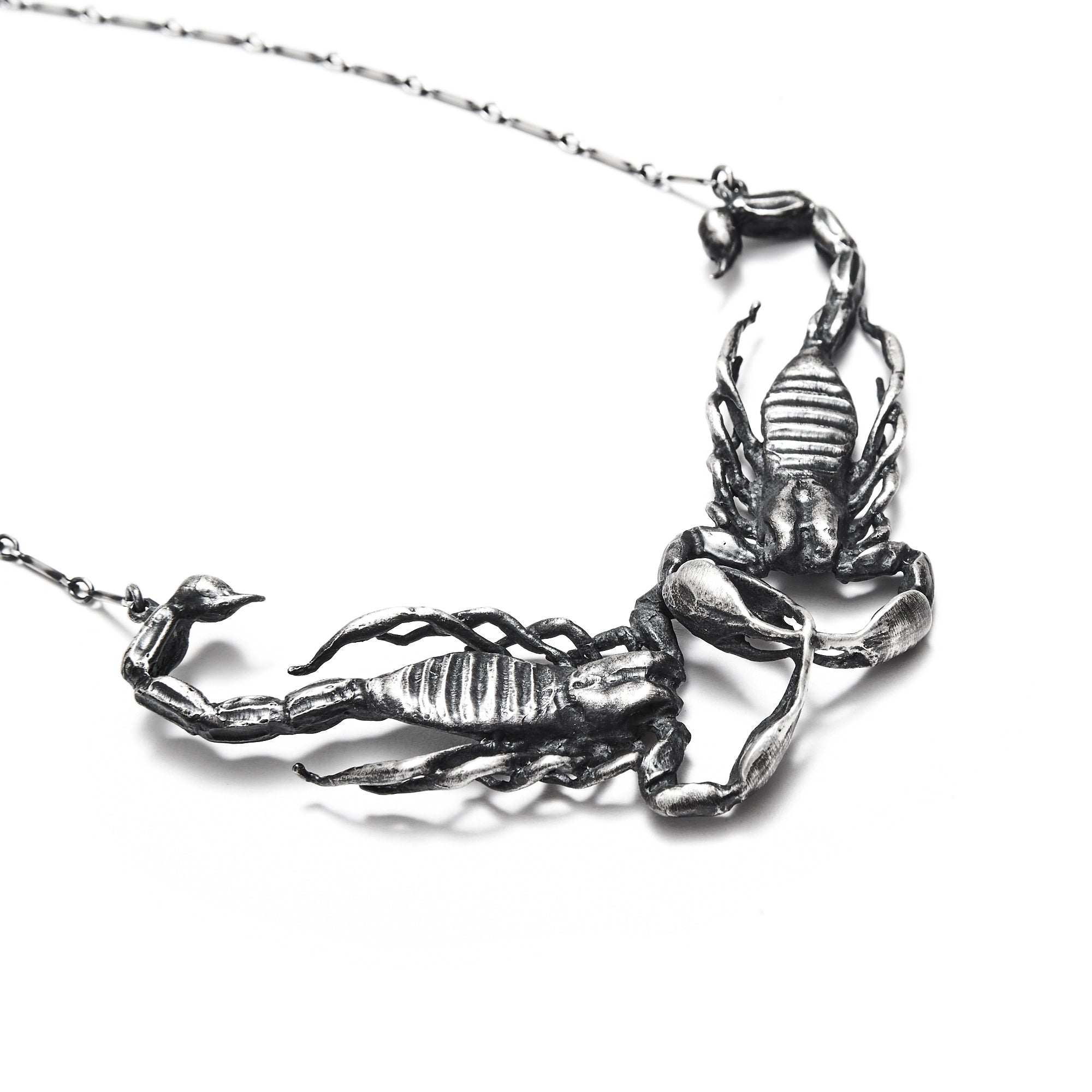 The Poison & The Cure { Medium Conjoined Scorpions }