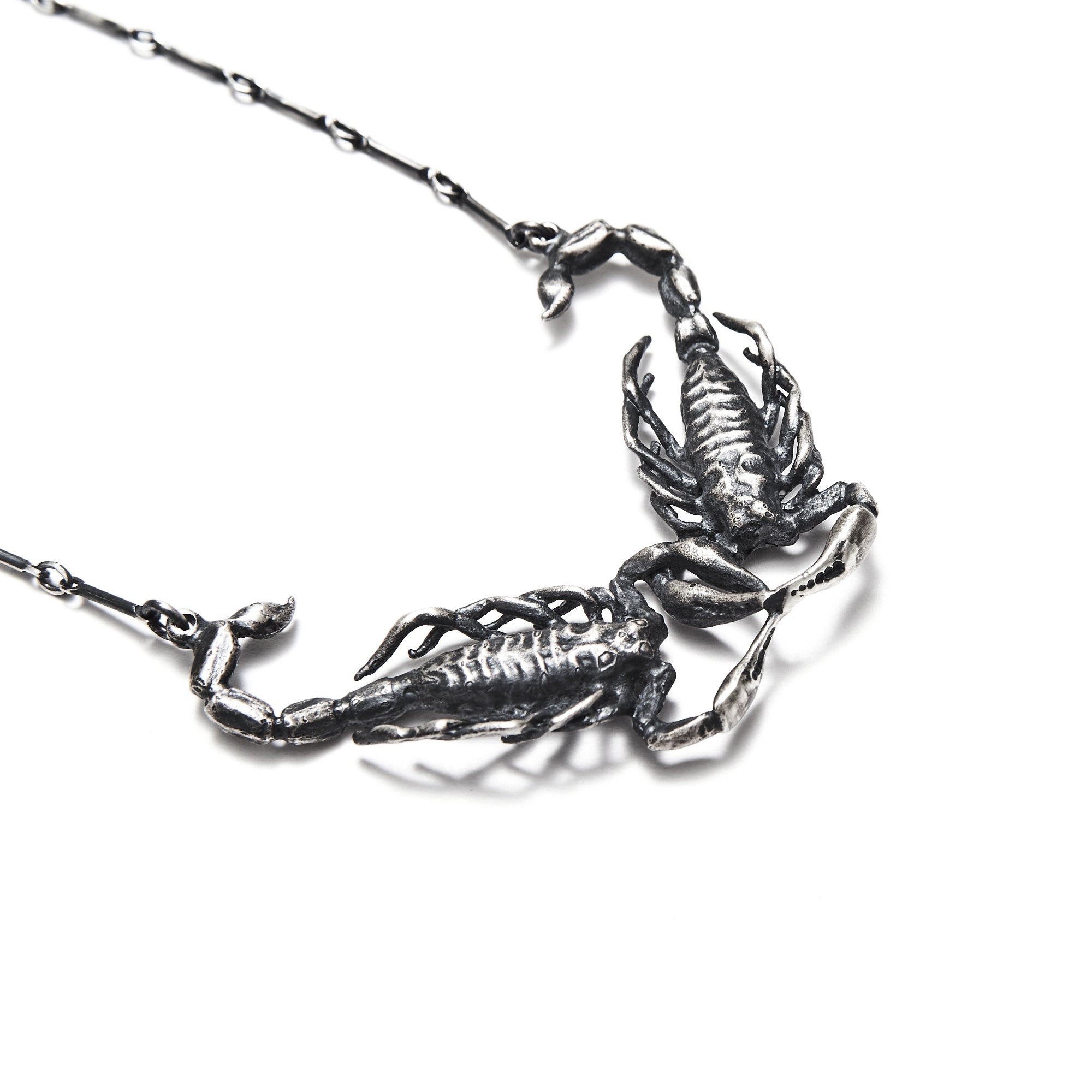 The Poison & The Cure { Small Conjoined Scorpions }