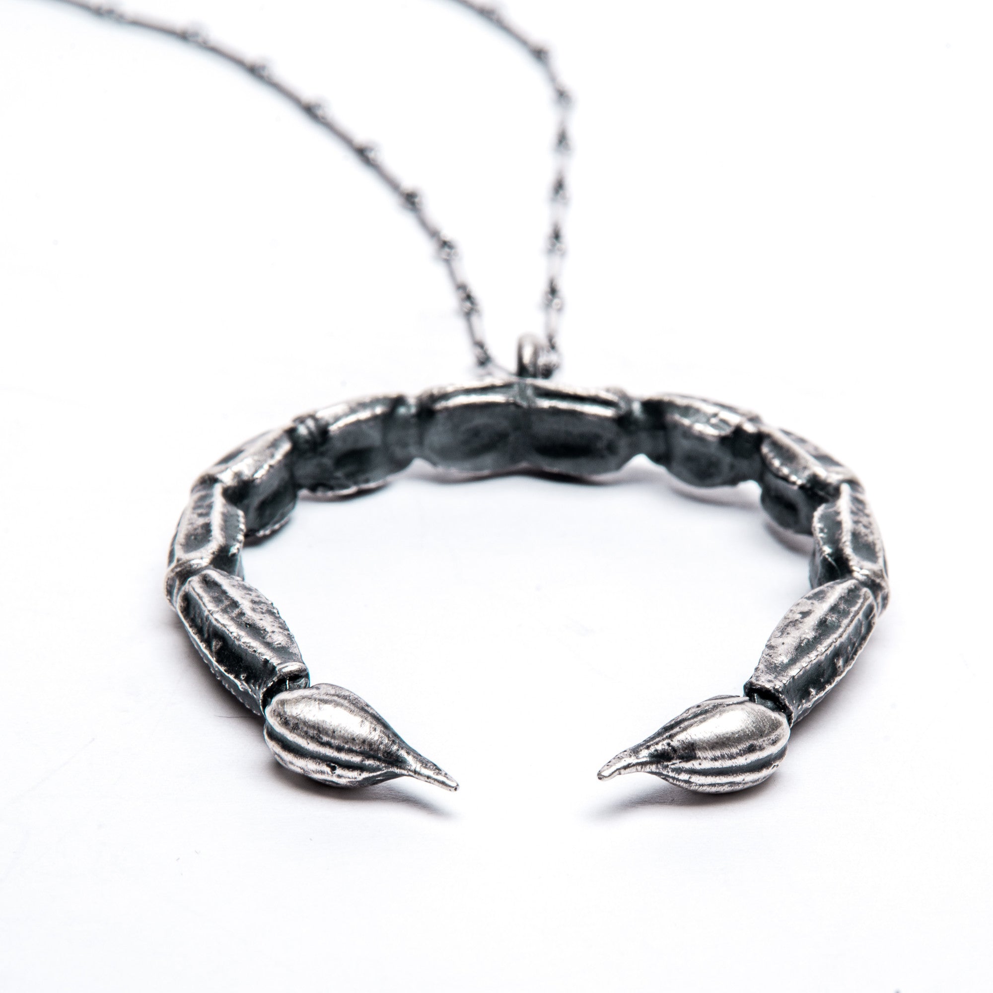 The Scorpion Cures the Scorpion Necklace