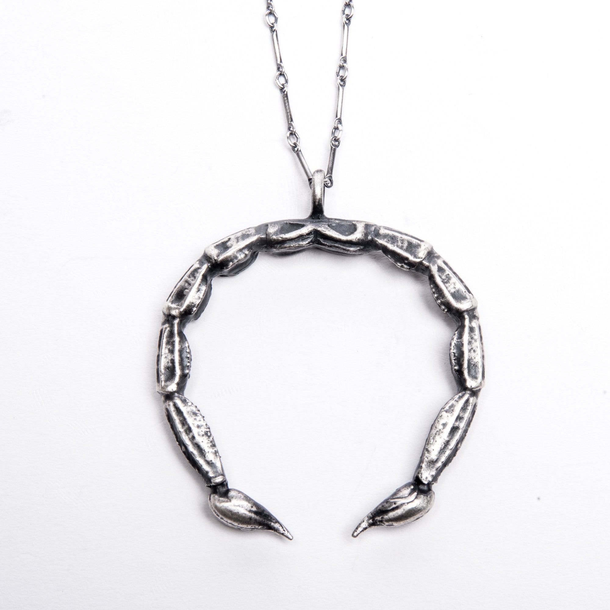 The Scorpion Cures the Scorpion Necklace